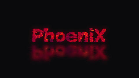 PhoeniX - 2