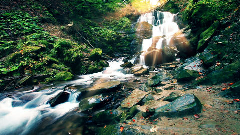 mountain stream in the forest
