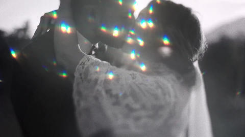 100 Wedding Light Leaks