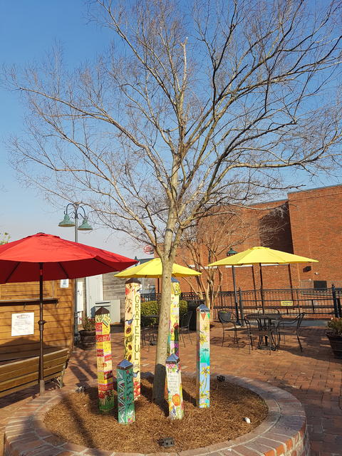 Outside shot of tree and benches with red and yellow fold-ups