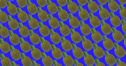 Pineapple tropical fruit and video background with pineapple and chromakey
