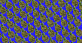 Fresh pineapple for video background with tropical fruits pineapple and chromakey