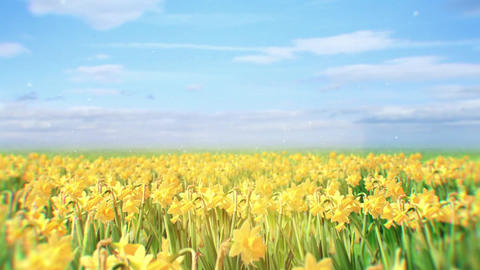 Butterflies and Spring Flowers Logo Reveal - 1