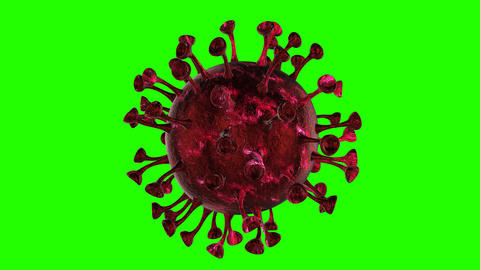 Microscope virus cell
