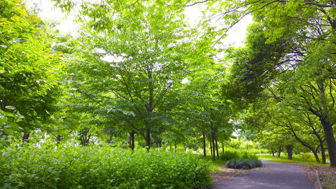 Promenade