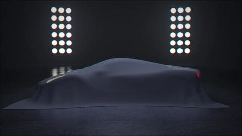 Car Logo