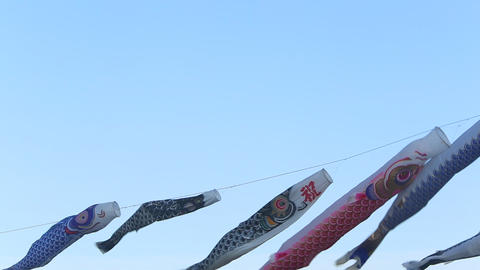 Carp streamer of blue sky/青空のこいのぼり