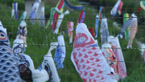 Countless carp streamer/無数のこいのぼり