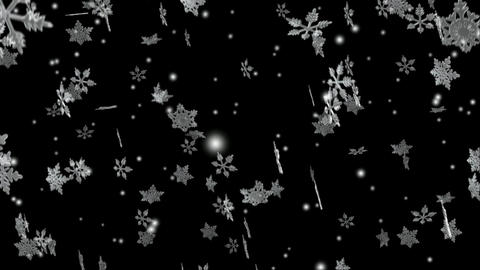 Flying Snow Crystals