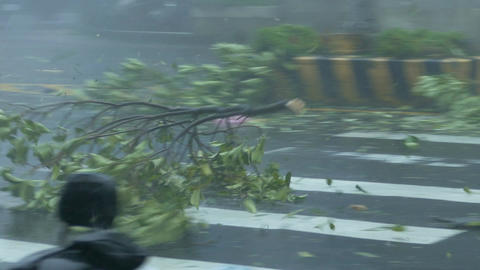 Fallen tree bouncing off police car in Typhoon Wind and Rain