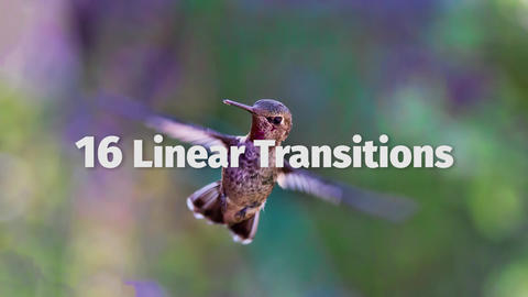 Linear Transitions