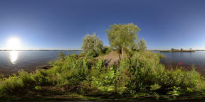 360 VR Nature on the river bank at sunset