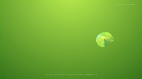 World Animal Day Opener - 1