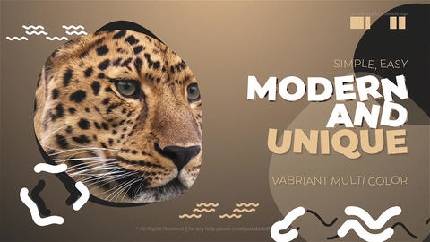 World Animal Day Opener - 3