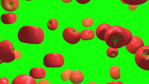 Tomato vegetable green screen loop animation Animated GIF 15507436 ...