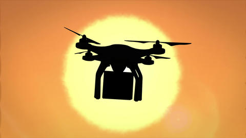 Digital image of drone silhouette holding a box