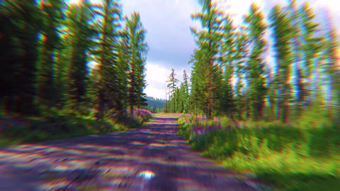 dirt road in Ulagan district, Altai mountains, Siberia, Russia