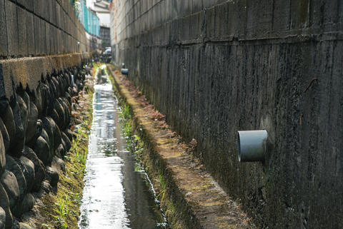 PVC pipe in the irrigation canal