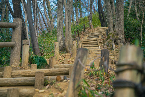 Green stairs