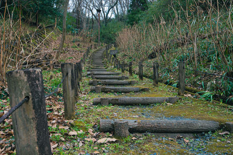 Long stairs in the green belt