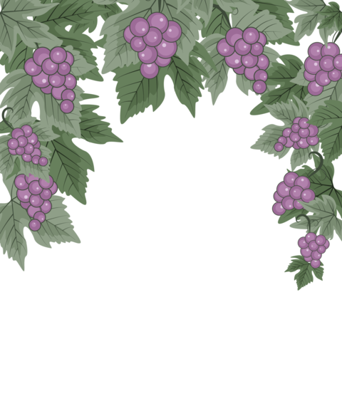 Decorations of red grapes natural background