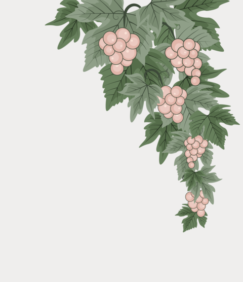 Decorations of red grapes natural background