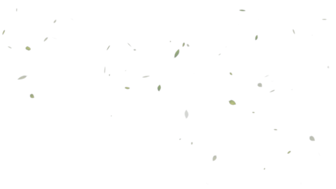 Flow leaf_midlle