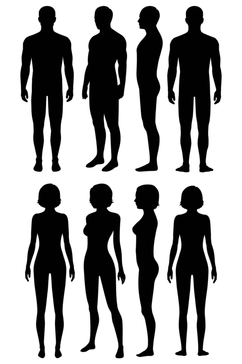 Stock vector