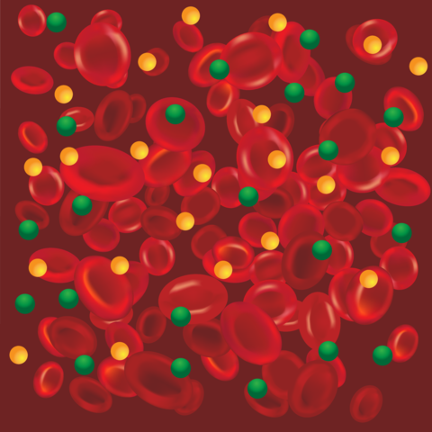 good and bad lipids blood vessel bacground