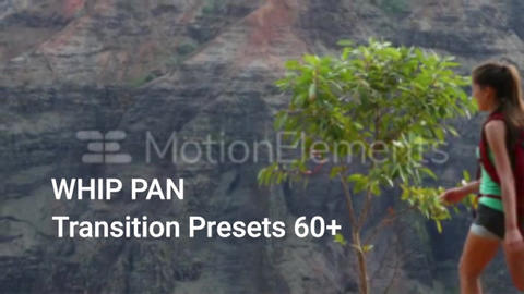 60 Whip pan transition presets