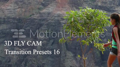 3D Fly cam transitions
