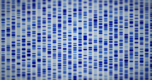 DNA sequence animation