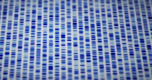 DNA sequence animation 02