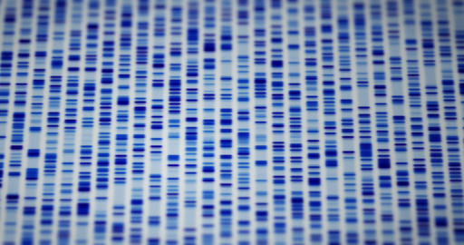 DNA sequence animation 03