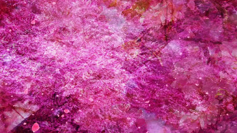 Sakura83450