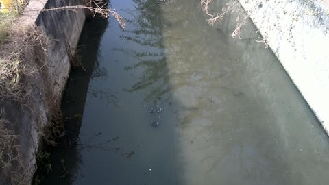 city channel with sewage. India