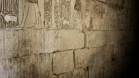 Egyptians hieroglyphs