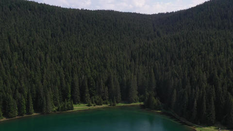 Green mountains and summer day and green tree and river