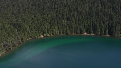 Green mountains and summer day and green tree and river
