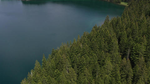 Green mountains and summer day and green tree and river