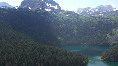 Green mountains and summer day and green tree and river