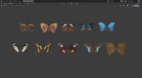 Butterfly Collection PBR Rigged Animated