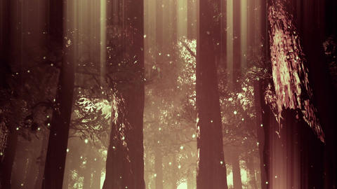 Deep Magic Forest 13 fireflies