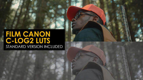 Film Canon C-Log2 and Standard Luts