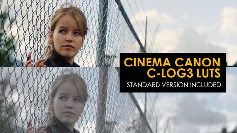 Cinema Canon C-Log3 and Standard Luts