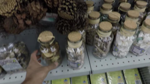 Bottles filled with acorns, seashells , organic decorations
