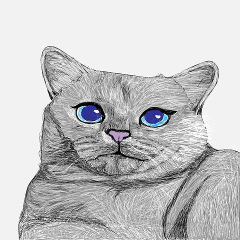Beautiful Cat Illustration