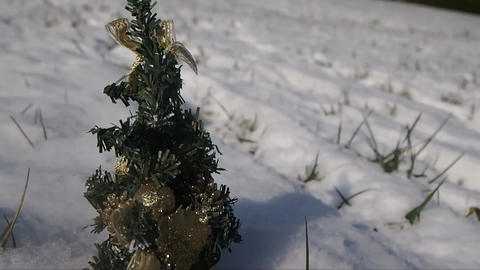 Small golden christmas tree behind the snow in winter 026751700 1640639676