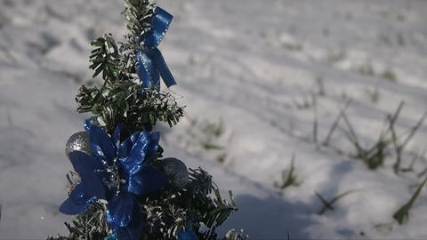 Small blue christmas tree behind the snow in winter 027105000 1640639676