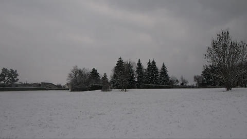 Snowy landscape in winter with trees 059839900 1640639674